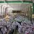 Makna-Sa’i-dalam-Ibadah-Umroh-dan-Haji-Jejak-Ikhtiar-yang-Mengajarkan-Tawakal